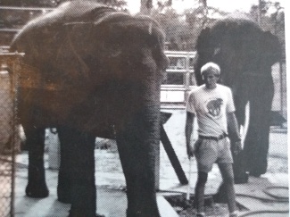 LPZ elephants